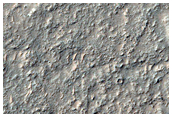 Terrain Sample
