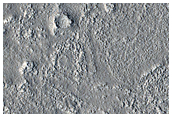 Arcadia Planitia
