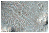 Rocky Terrain
