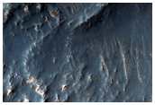 Terrain Sample
