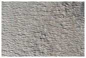 Rim of Milankovic Crater
