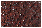 Terrain Sample
