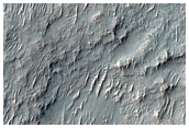 Plains
