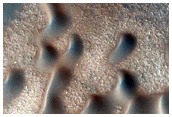 Frost-Covered Dunes
