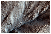 Crater Gullies and Fractures in Acidalia Planitia