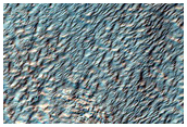 Flow Unit in Argyre Planitia
