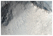 Possible Early Stage Chaos along Shalbatana Vallis