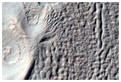 Gully Monitoring
