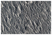 Ridges in Isidis Planitia

