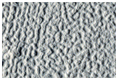 Crater Wall and Floor
