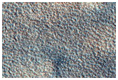 Northern Plains Sample
