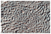 Terrain Sample
