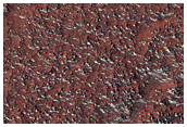 Mid-Latitude Terrain Sample
