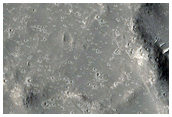 Lava in Western Elysium Planitia