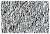 Terrain Sample
