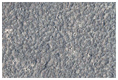 Western Elysium Planitia
