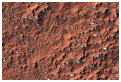 Mid-Latitude Terrain Sample

