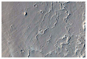 Linear Ridges in Amazonis Planitia
