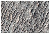 Crater Fill
