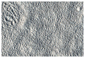 Northern Plains Terrain
