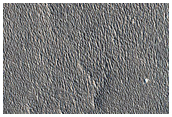 Texture Change on Northern Plains