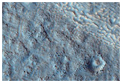 Contact in Northern Mid-Latitudes
