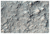 Rocky Ground
