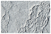 Elysium Planitia Lava Margin
