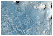 Ridges in Meridiani Planum
