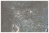 Possible Gullies in Crater
