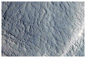 Possible Layers in Protonilus Mensae
