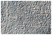 Mid-Latitude Terrain Sample
