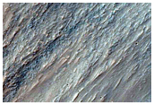 Steep Slopes in Melas Chasma

