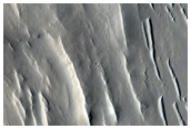 Layers in Eastern Tikhonravov Crater