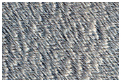 Pit North of Arsia Mons
