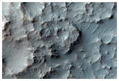 Inverted Channels in Crater
