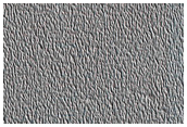 Dunes Dubbed Buzzel
