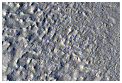 Mid-Latitude Pedestal Crater with Rings Inside
