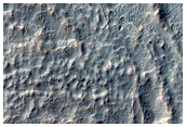 Concentric Crater Fill in Southern Mid-Latitude Crater
