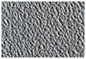 Western Erebus Montes
