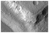 Rising above It in Amazonis Planitia