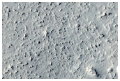 Enigmatic Terrain in Elysium Planitia
