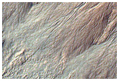 Gully Monitoring

