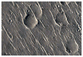 Landforms in Syrtis Major Region
