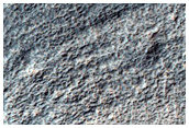 Crater Floor in Hellas Montes Region

