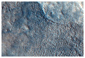Cones in Northern Mid-Latitudes
