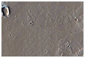 Landforms in Amazonis Planitia
