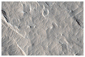 Streaks Near Olympus Mons

