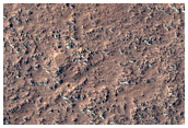 Mid-Latitude Terrain Sample
