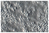 Crater Floor Features in Protonilus Mensae
